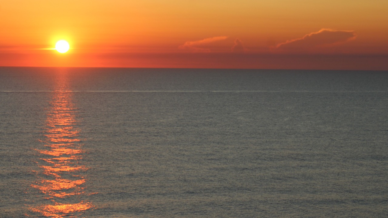 Photo of Others in Ormond-by-the-Sea