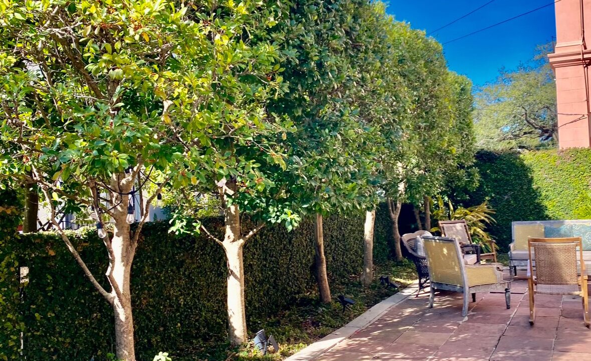 Photo of Patio Balcony in Garden District