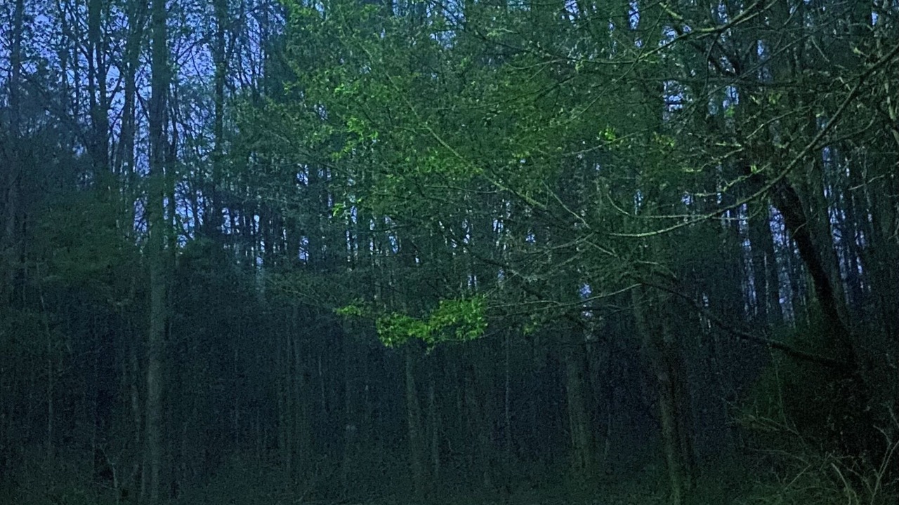 Photo of Others in Moulton