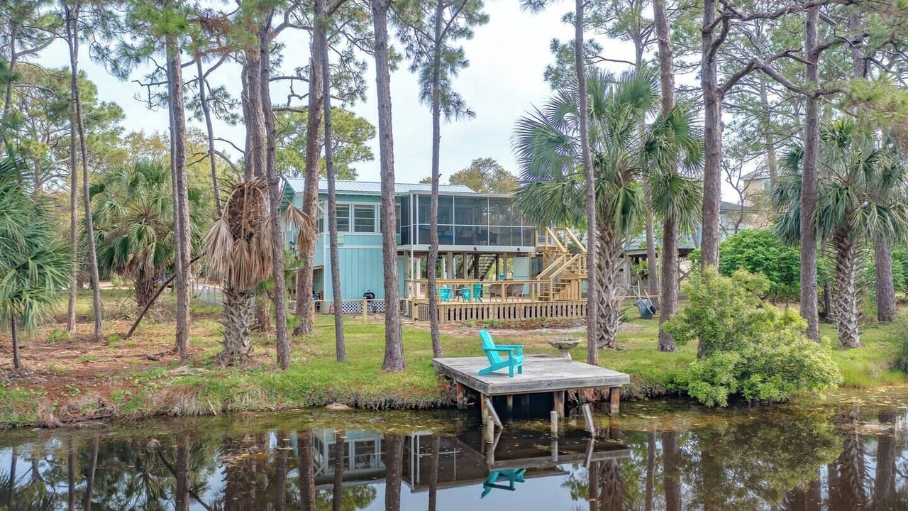 Photo of Outdoor in Alligator Point