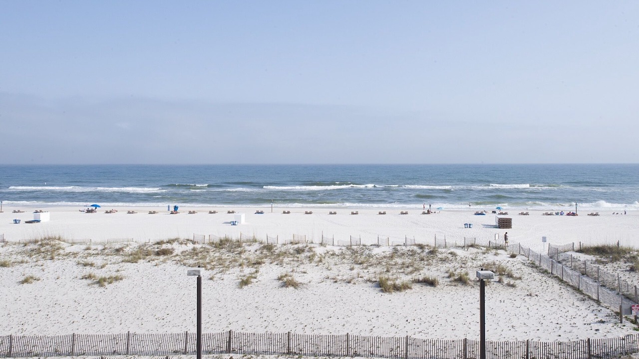 Photo of Others in Gulf Shores