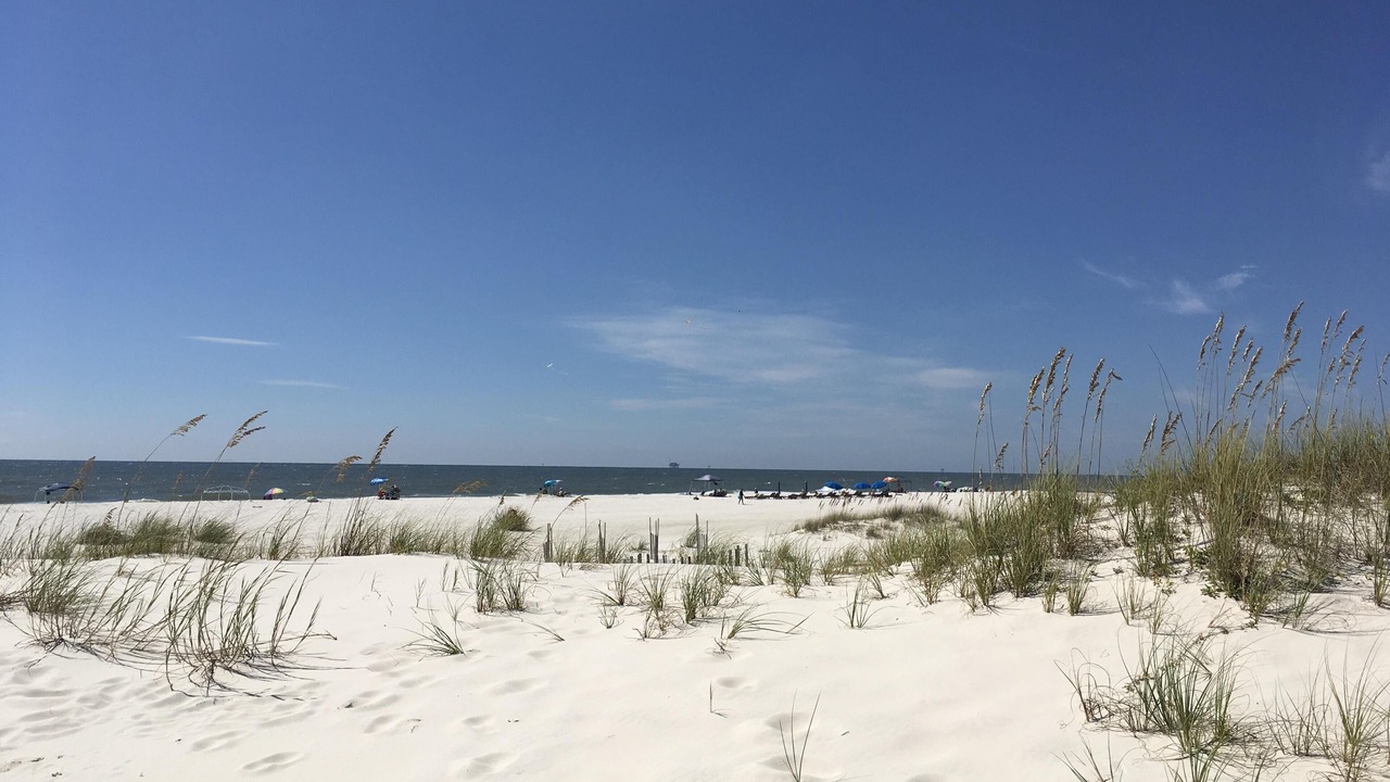 Photo of Others in Fort Morgan