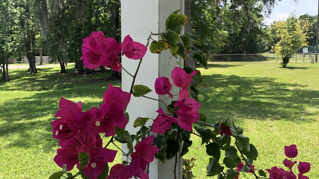Photo of Outdoor in Sanford