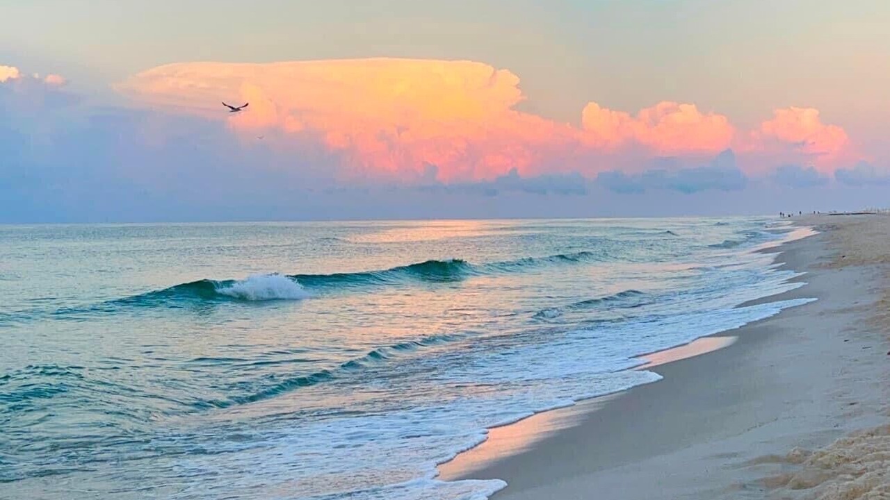 Photo of Others in Orange Beach