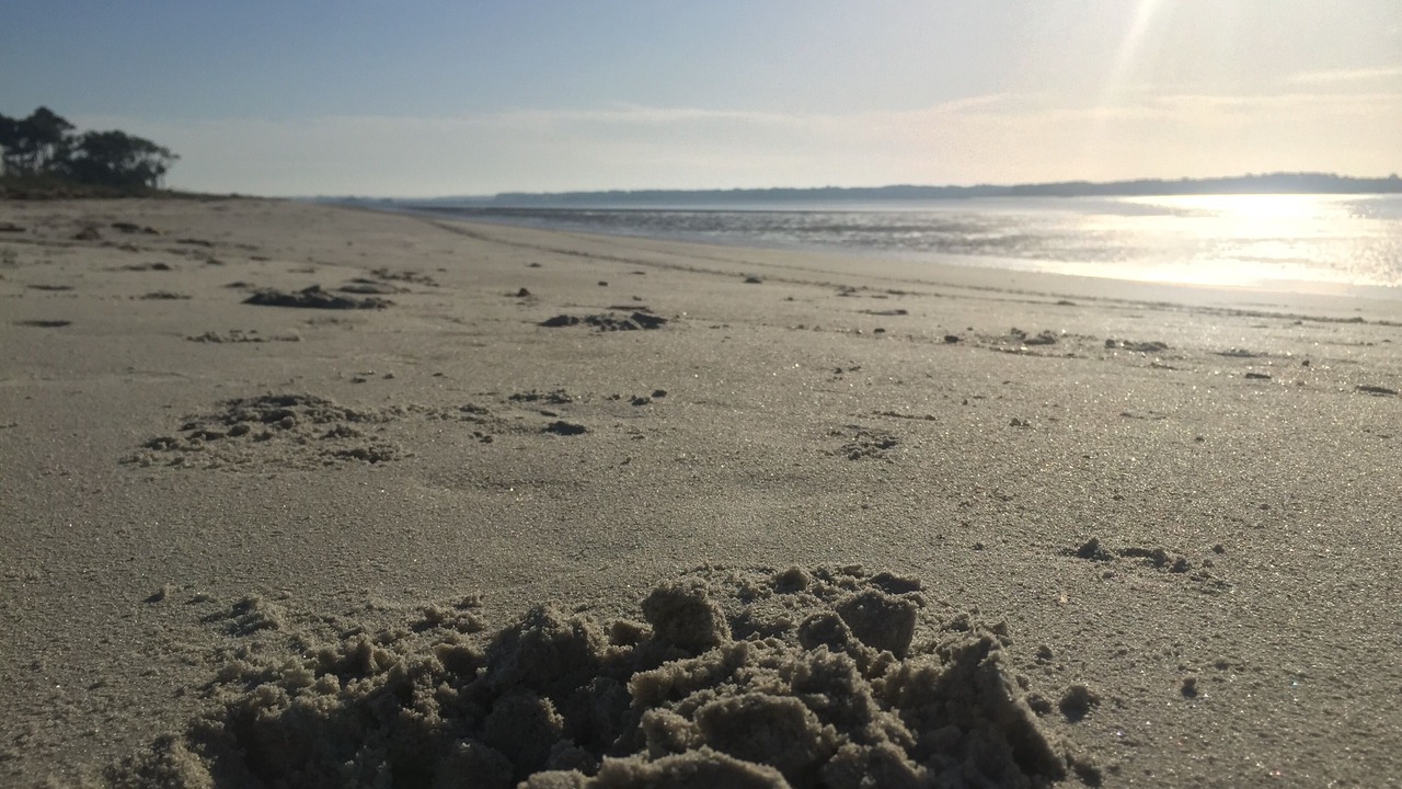 Photo of Others in Melrose on the Beach
