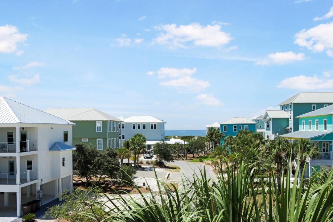 Photo of Others in Seagrass