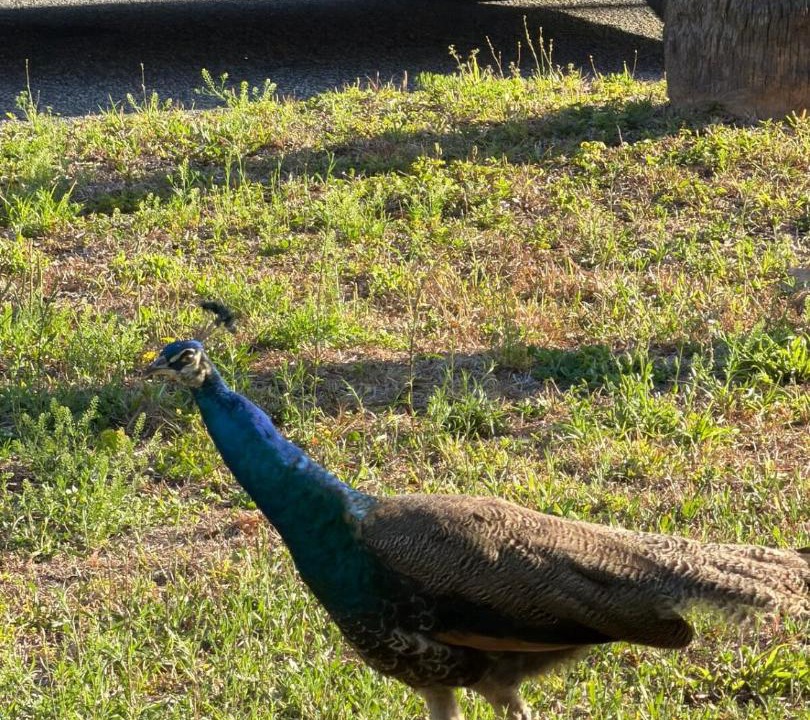 Photo of Others in Palatka