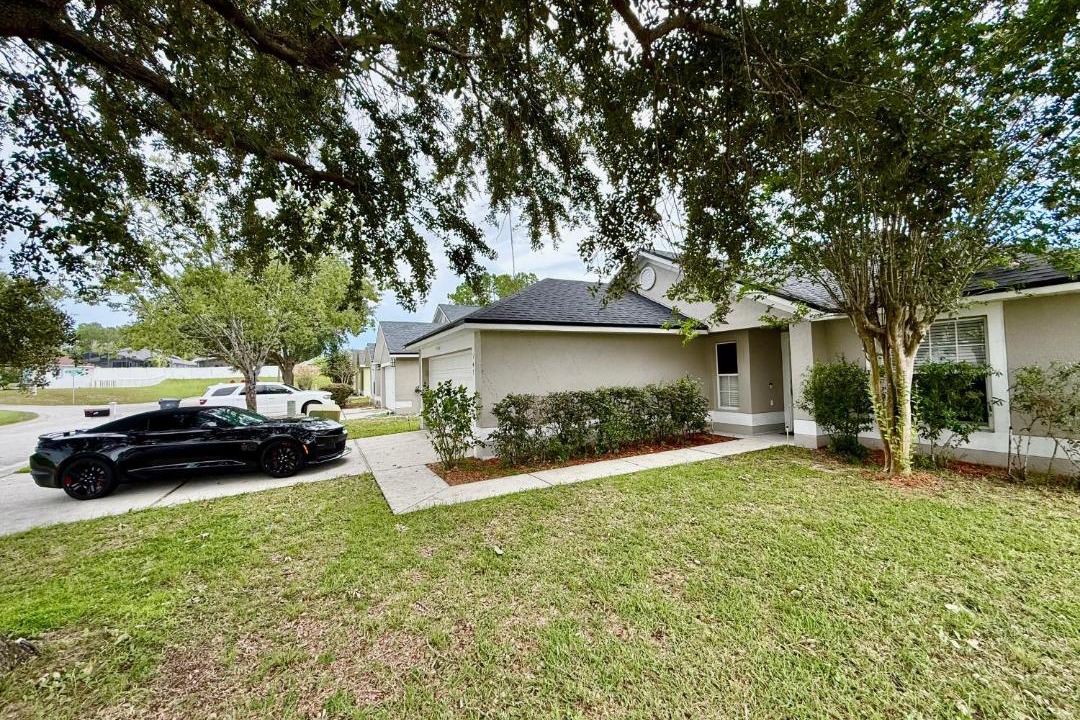 Photo of Others in Florida Pines