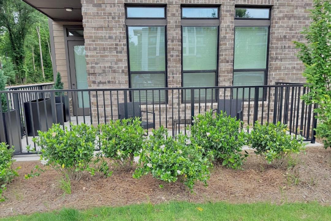 Photo of Patio Balcony in East Side