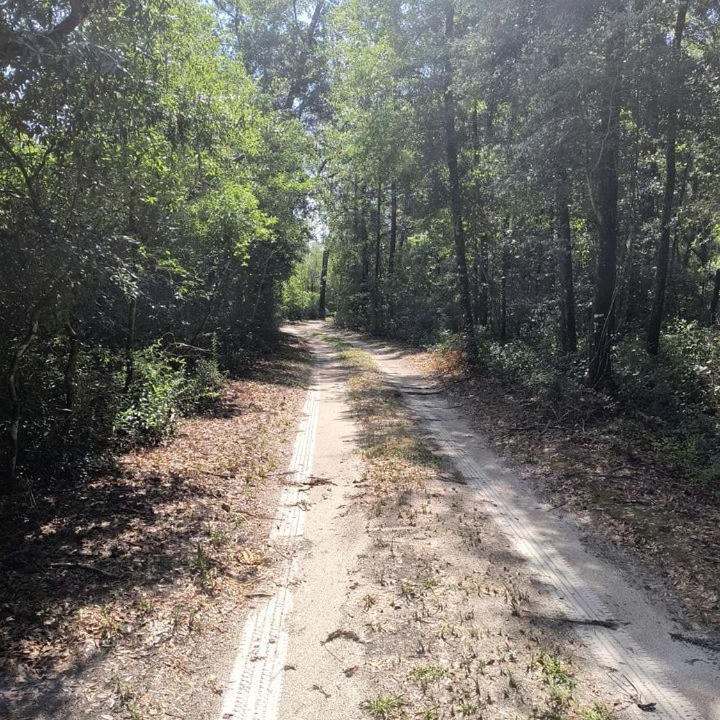 Photo of Outdoor in Waynesville