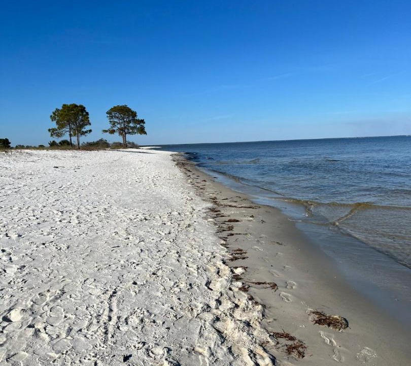 Photo of Others in Ochlockonee Bay