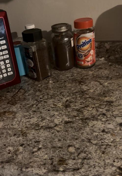 Photo of Kitchen in Northwest Orlando