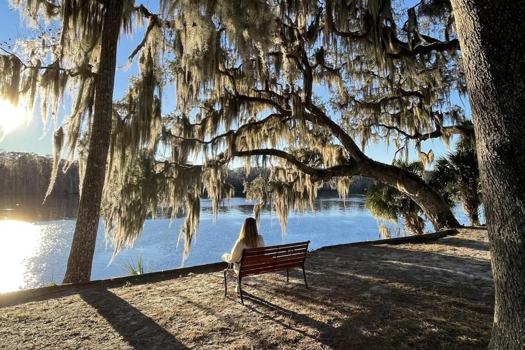 Photo of Others in Satsuma