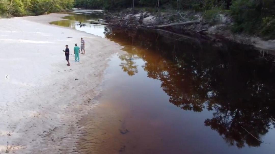 Photo of Others in Citronelle