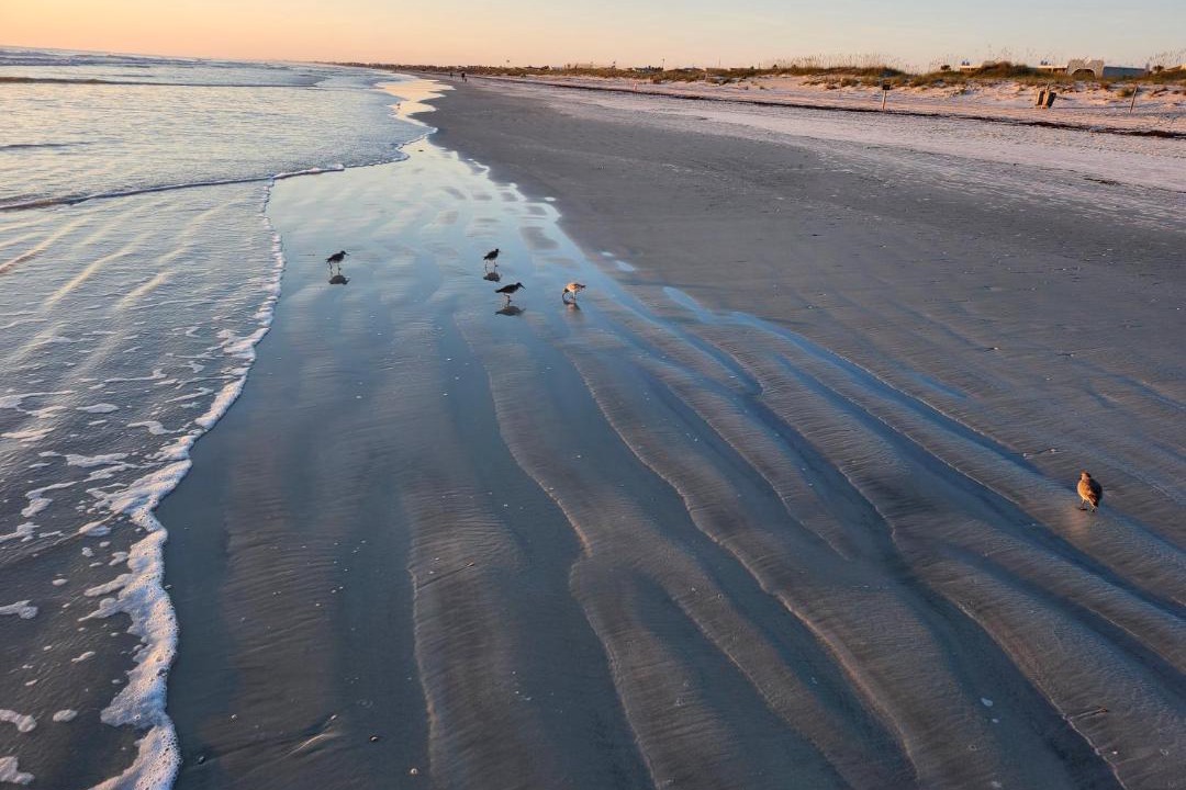Photo of Others in Butler Beach