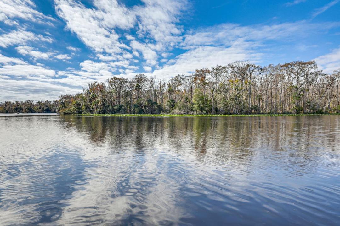 Photo of Others in Satsuma