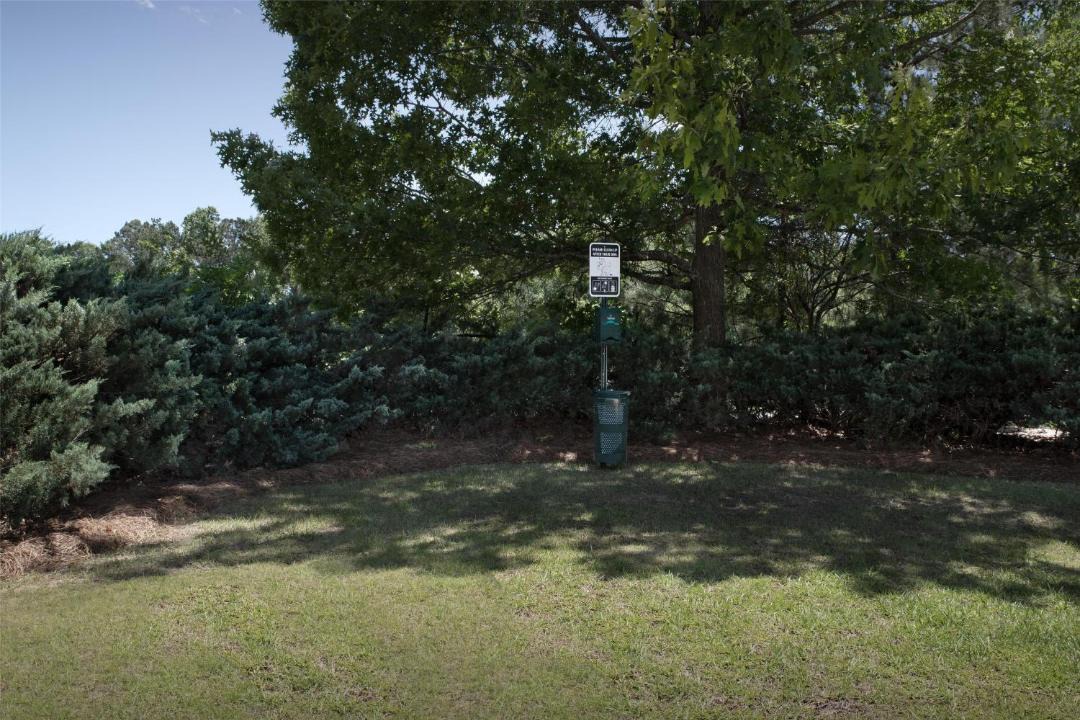 Photo of Others in Auburn