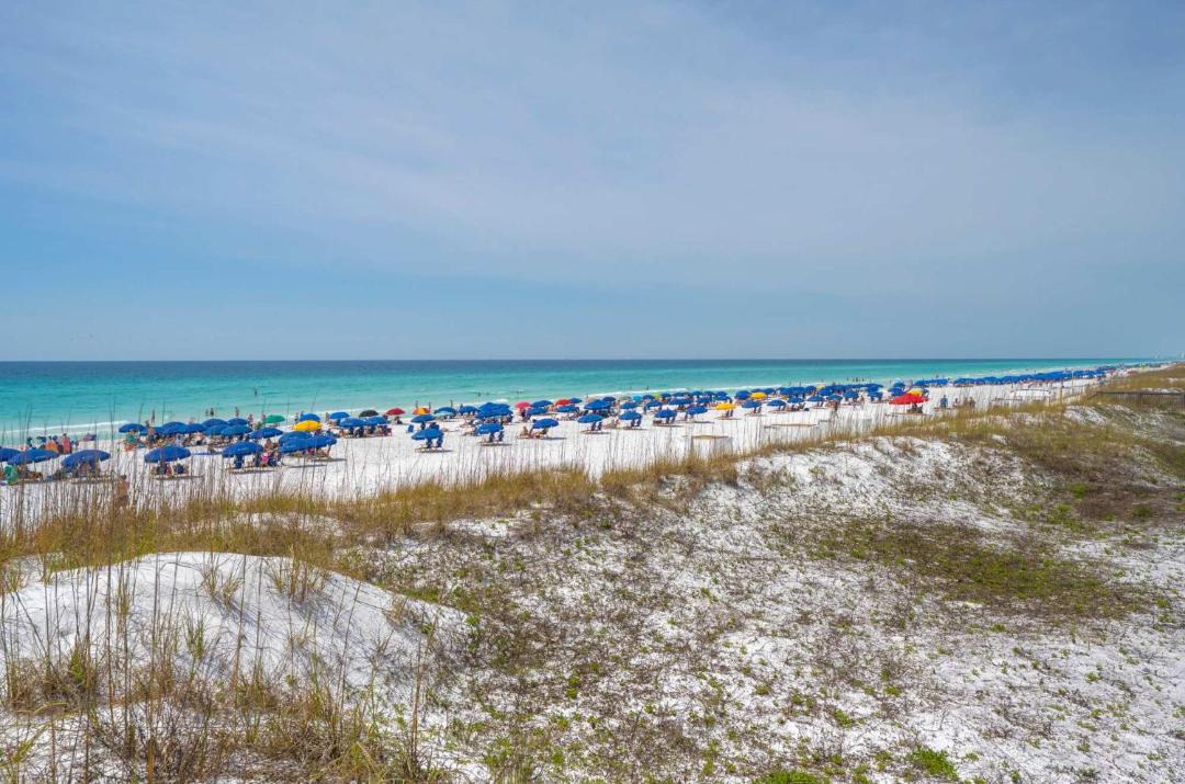 Photo of Others in Avalon Beach Estates