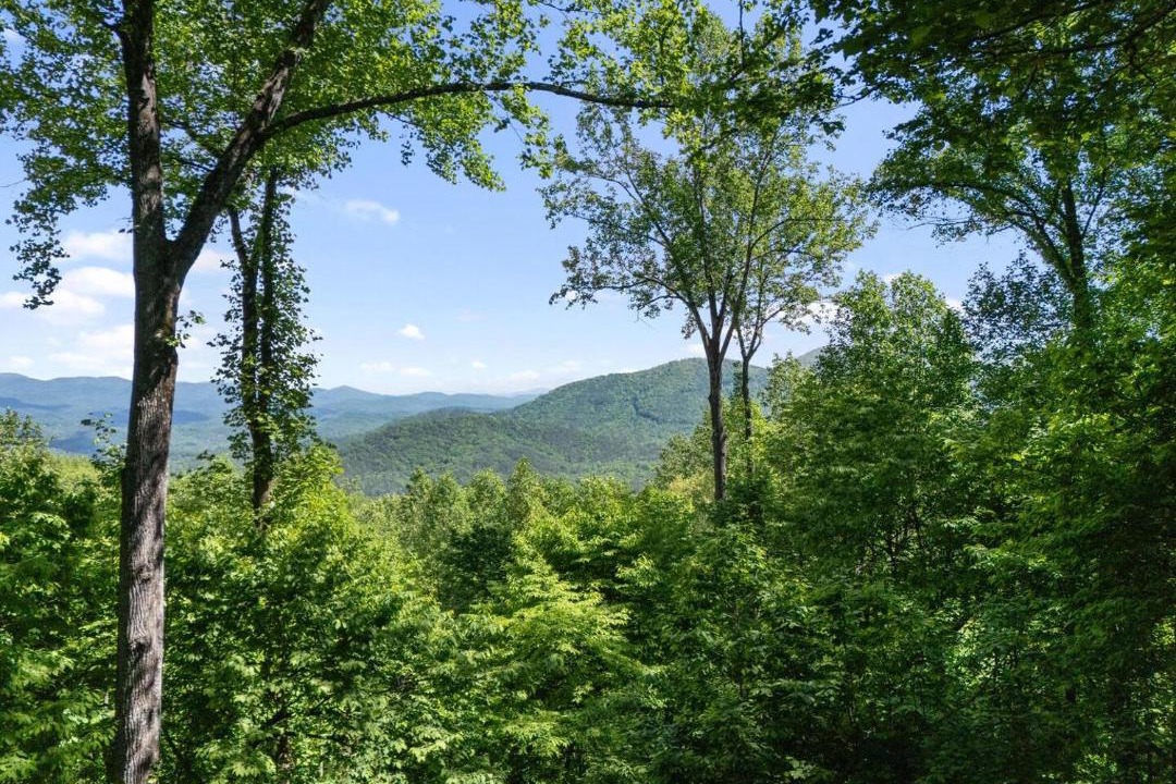 Photo of Others in Walnut Mountain