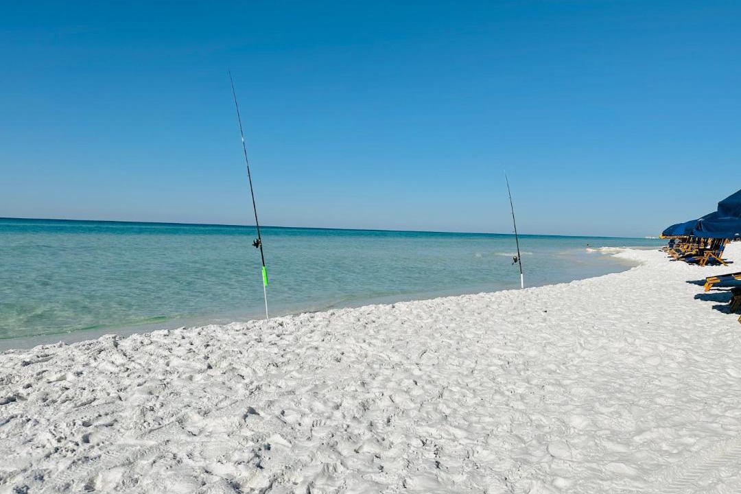 Photo of Others in Avalon Beach Estates
