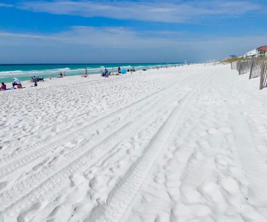 Photo of Others in Avalon Beach Estates