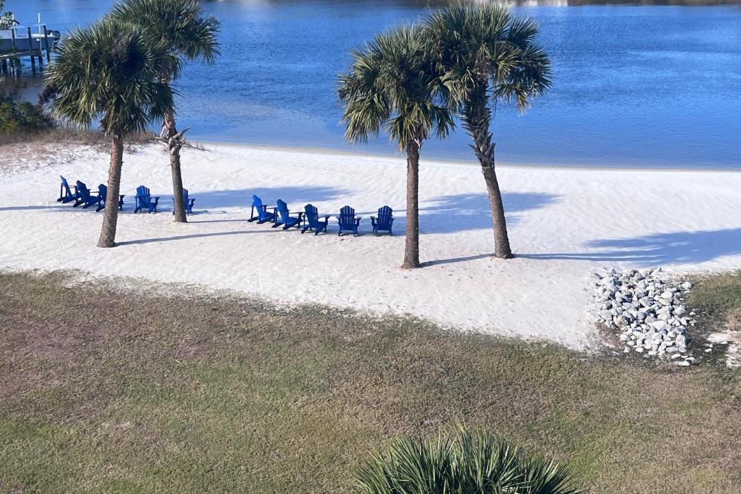 Photo of Others in Ono Island