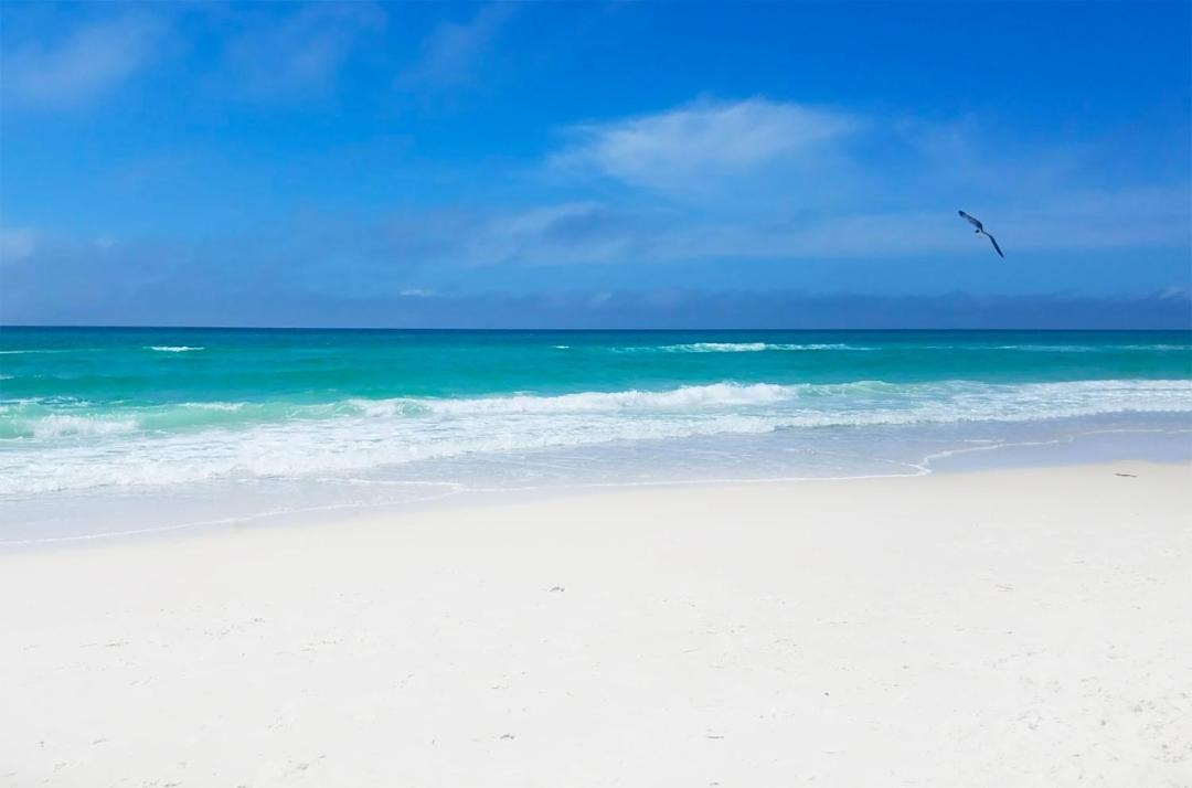 Photo of Others in Bid-a-wee Beach