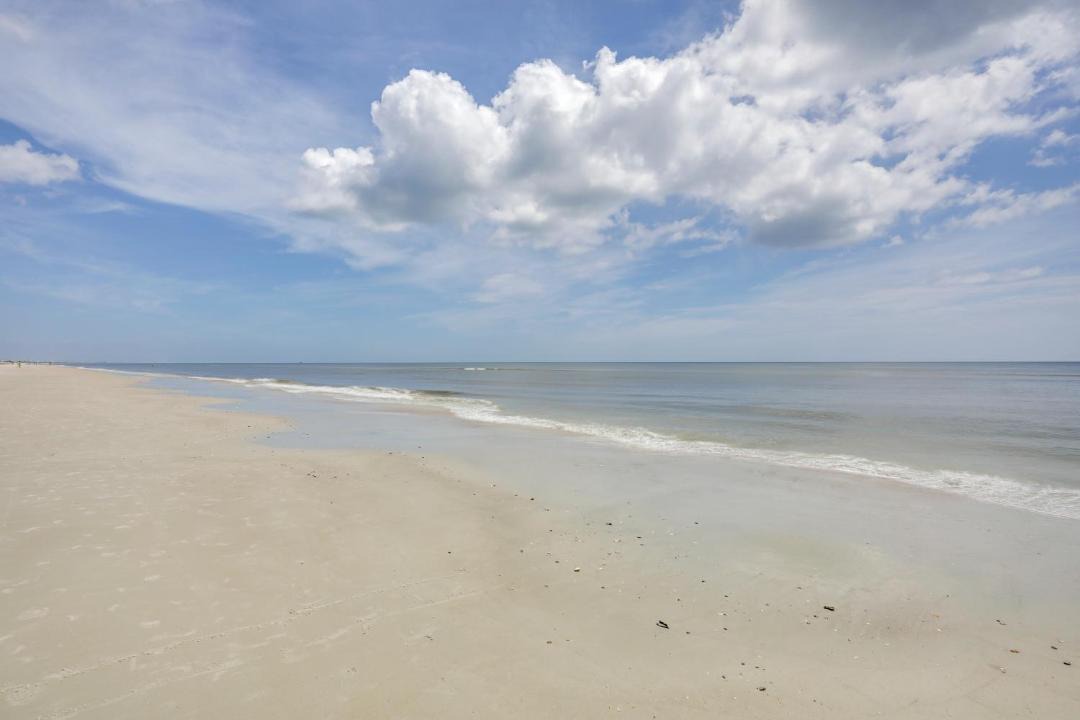 Photo of Others in Crescent Beach
