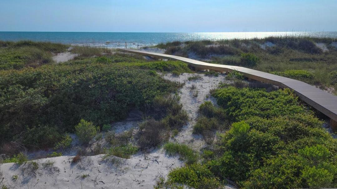 Photo of Others in Cape San Blas