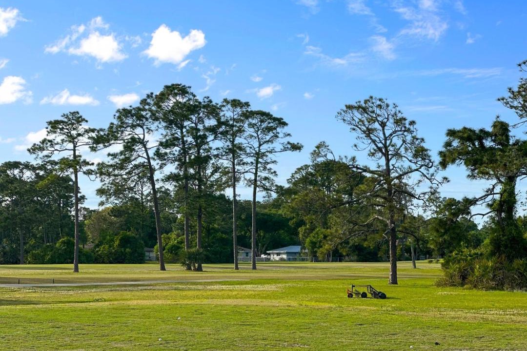 Photo of Others in Saint Augustine Shores