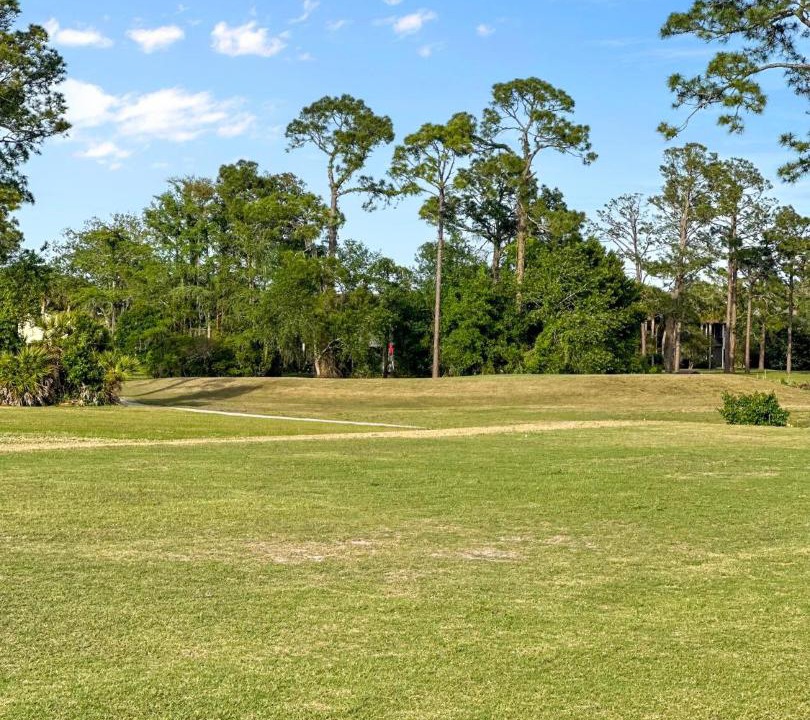 Photo of Others in Saint Augustine Shores