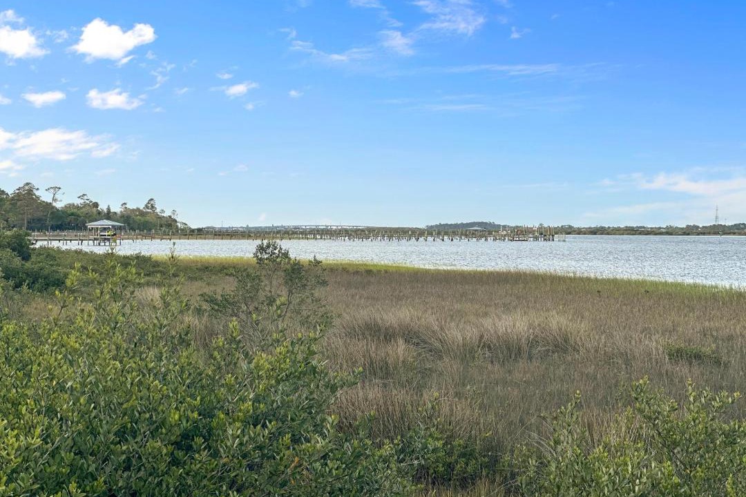 Photo of Others in Saint Augustine Shores