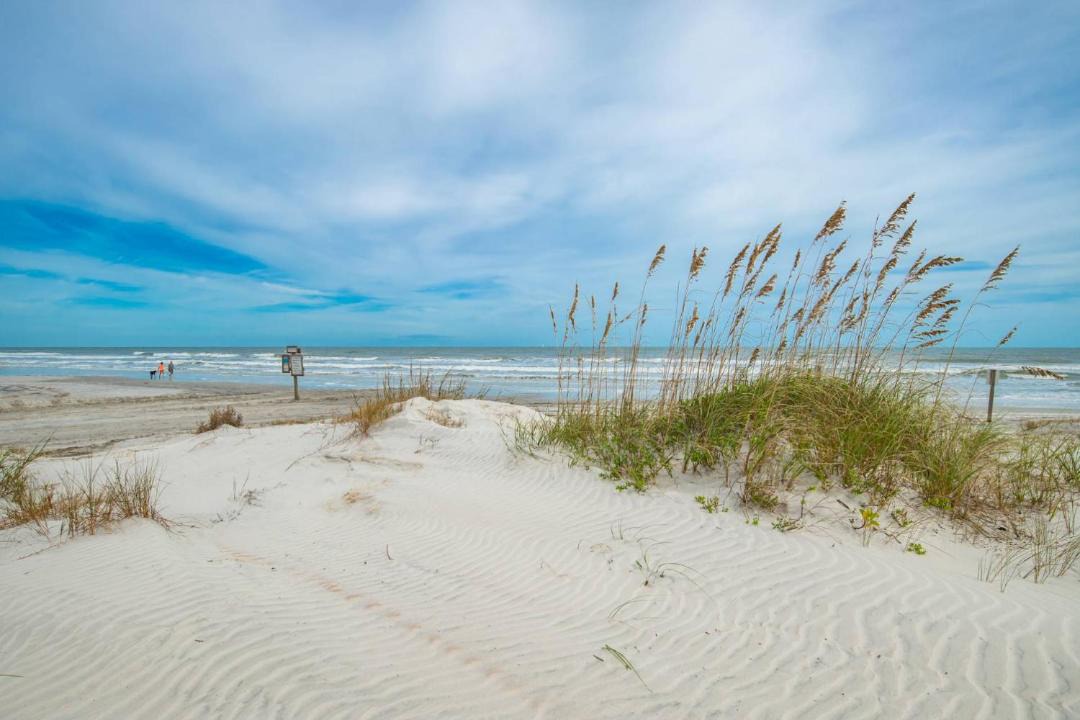 Photo of Others in Butler Beach