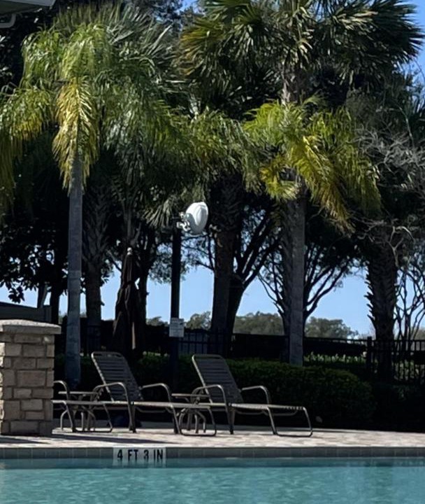 Photo of Others in Mount Dora