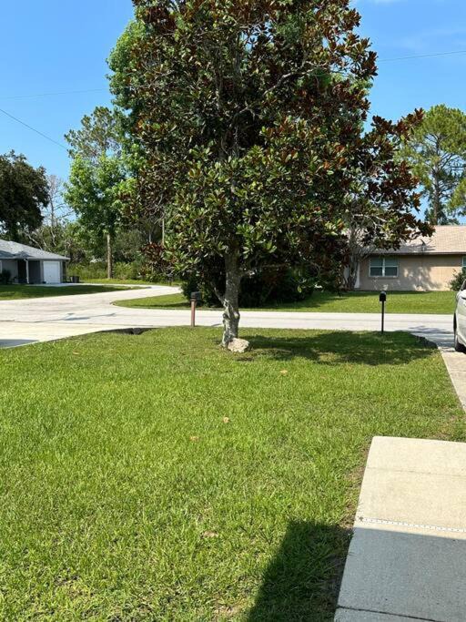 Photo of Others in Palm Coast