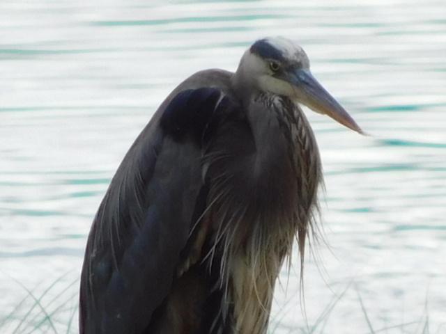Photo of Others in Pierson