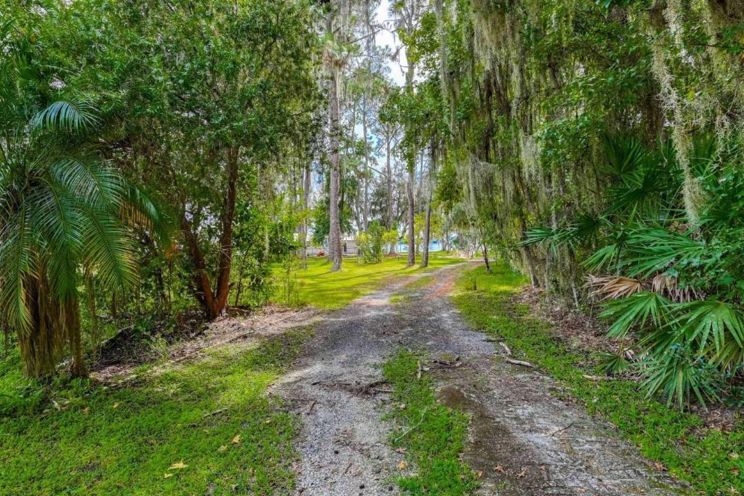Photo of Others in Palatka