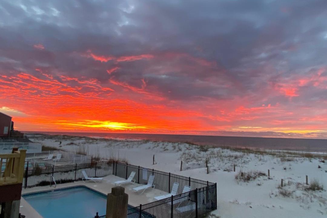 Photo of Others in Gulf Shores