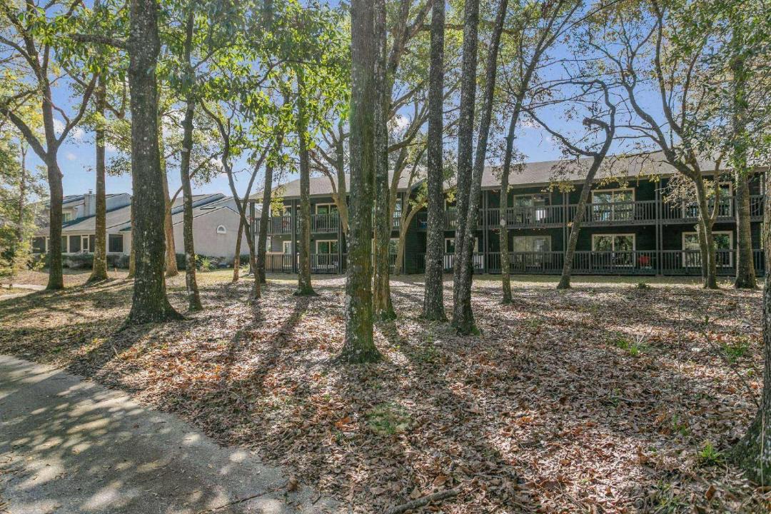 Photo of Outdoor in Middleburg