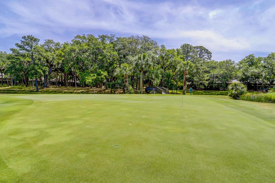 Photo of Others in Sea Pines