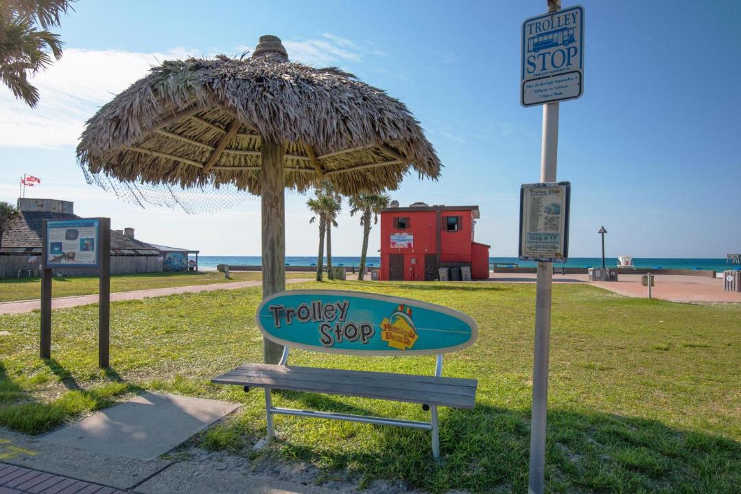 Photo of Others in Pensacola Beach