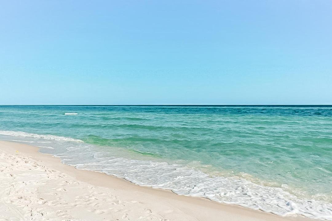 Photo of Others in Pensacola Beach