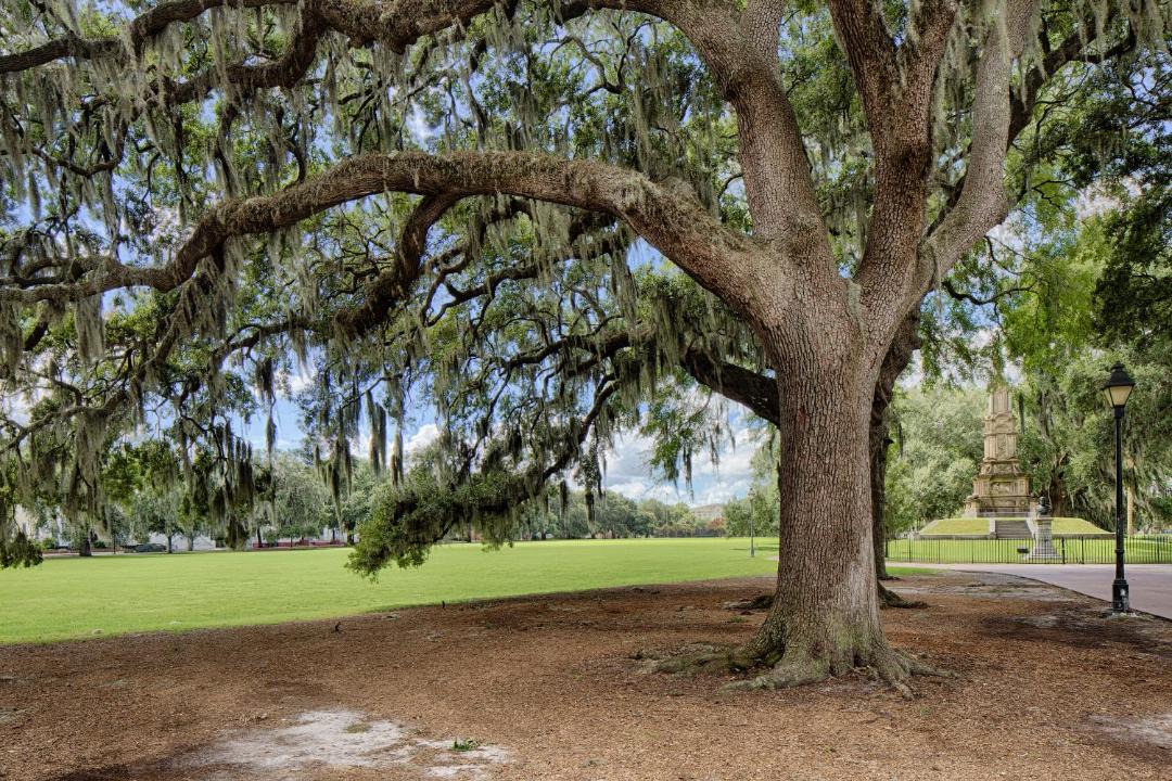 Photo of Others in Historic Downtown Savannah