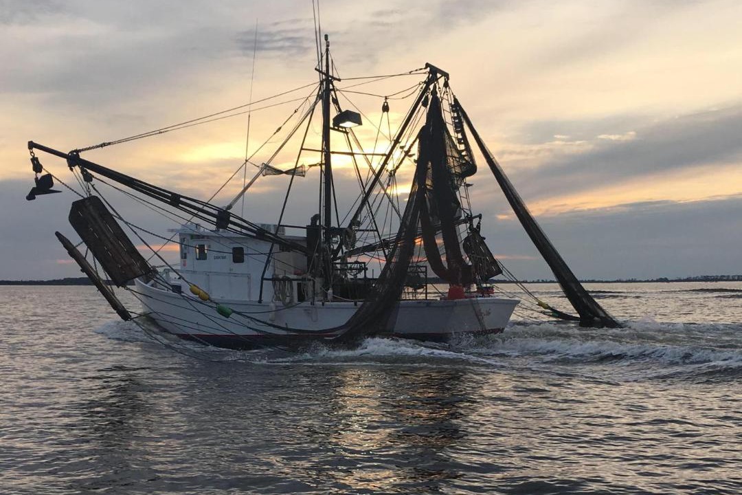 Photo of Others in Tybee Island