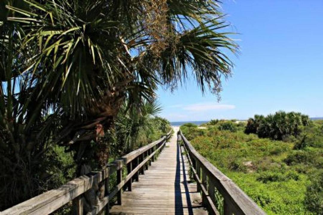 Photo of Others in St. Augustine Beach