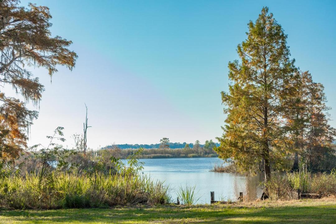 Photo of Outdoor in Gautier