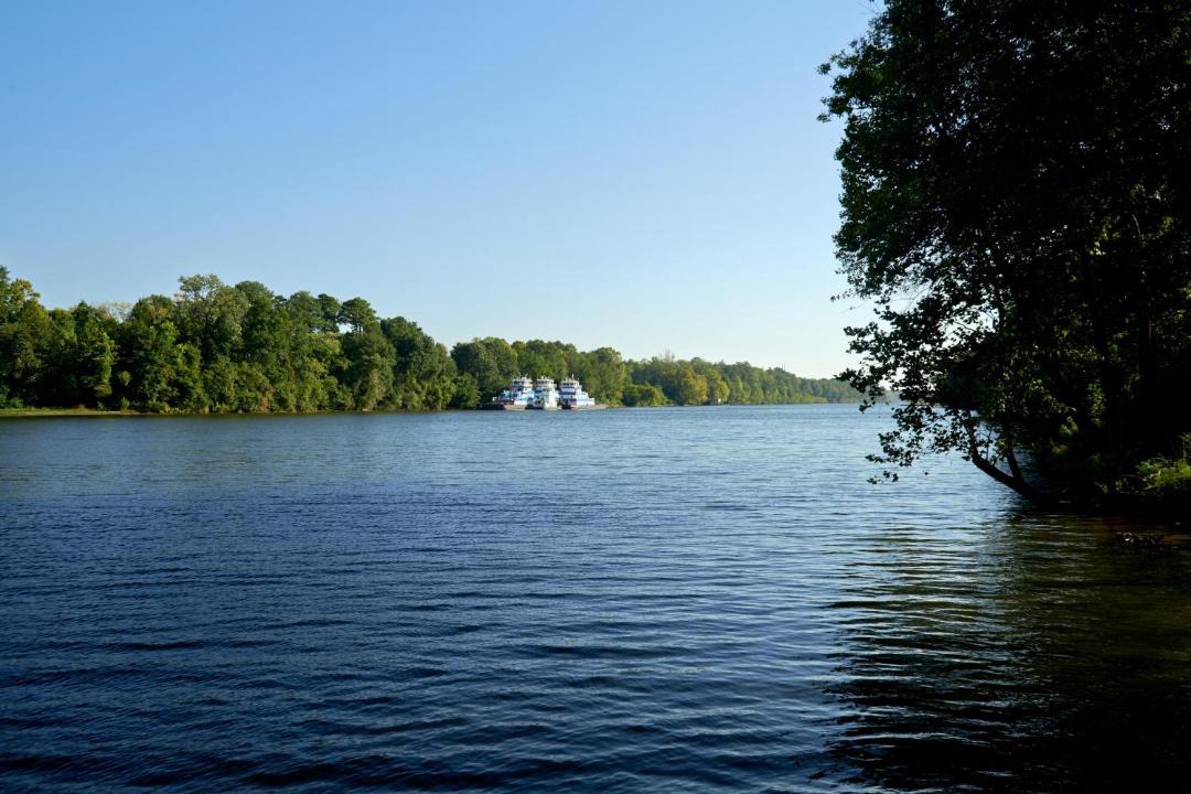 Photo of Others in Tuscaloosa