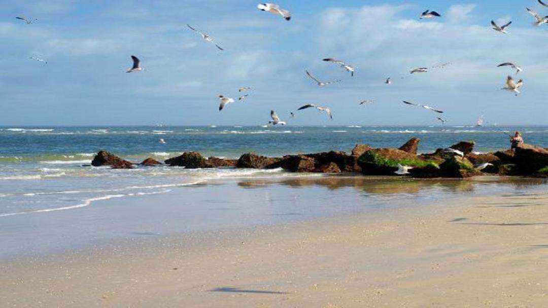 Photo of Others in Vilano Beach