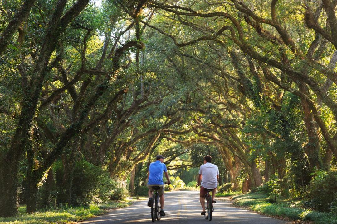 Photo of Others in Magnolia Springs