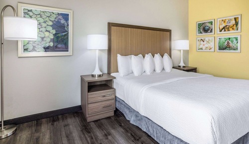 Room, 1 King Bed, Non Smoking (Bathtub w/ Grab Bars)